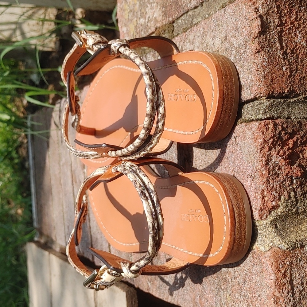 Coach Embossed Animal Print Clarkson T-Strap Sandals Size 9.5 (1712) - Picture 3 of 9
